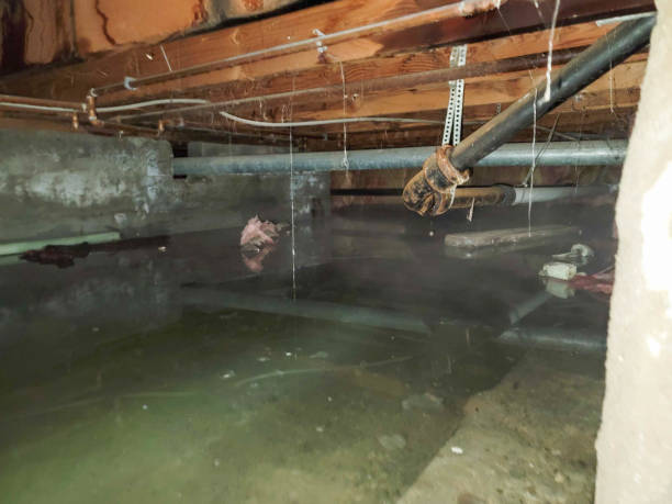 Reliable Deerwood, TX Water damage restoration Solutions