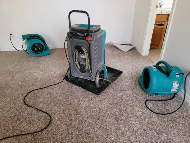 Best Water damage restoration specialists  in Deerwood, TX