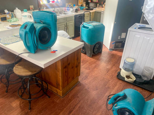 Best Local water damage restoration  in Deerwood, TX