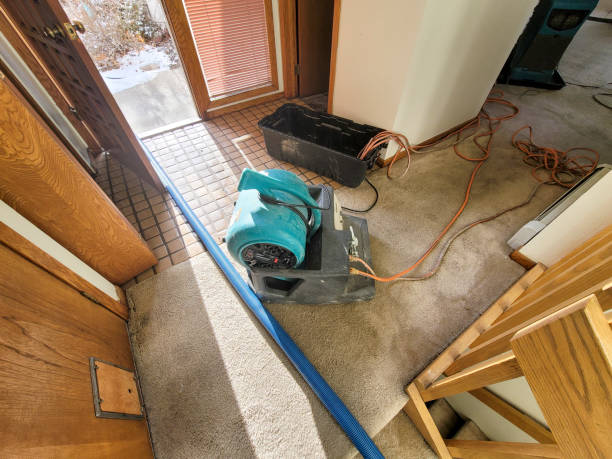 Best Sewage cleanup and water damage restoration  in Deerwood, TX