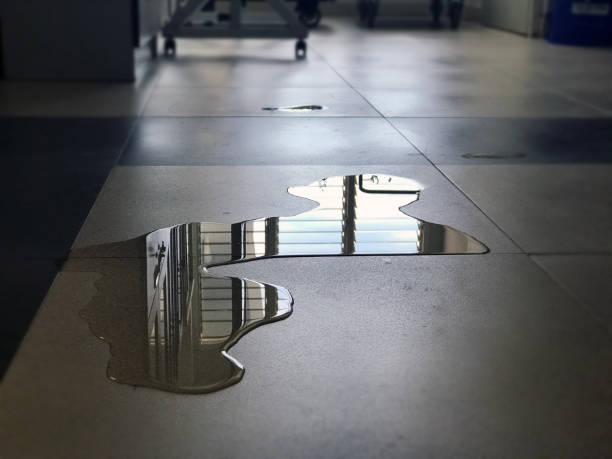 Best Water damage restoration near me  in Deerwood, TX